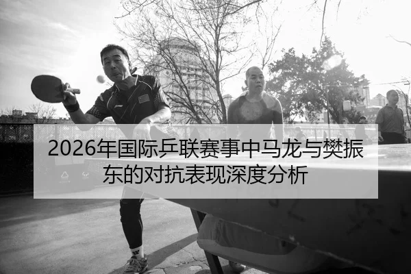 nian-guo-ji-ping-lian-sai-shi-zhong-ma-long-yu-fan-zhen-dong-de-dui-kang-biao-xian-shen-du-fen-xi-2-391.jpg