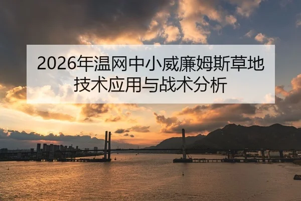 2026年温网中小威廉姆斯草地技术应用与战术分析