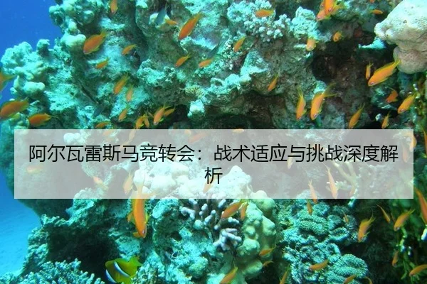 a-er-wa-lei-si-ma-jing-zhuan-hui-zhan-shu-shi-ying-yu-tiao-zhan-shen-du-jie-xi-2-752.jpg