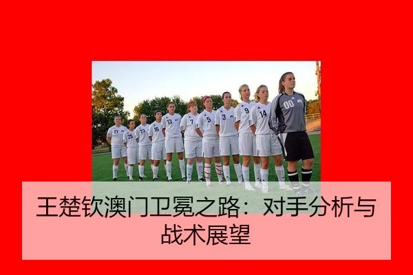 wang-chu-qin-ao-men-wei-mian-zhi-lu-dui-shou-fen-xi-yu-zhan-shu-zhan-wang-3-855.jpg