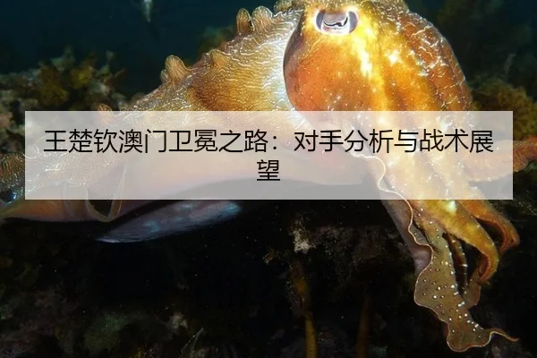 王楚钦澳门卫冕之路：对手分析与战术展望