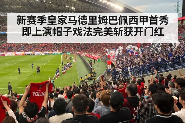 football stadium fans