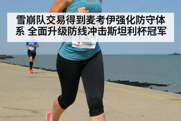 雪崩队交易得到麦考伊强化防守体系 全面升级防线冲击斯坦利杯冠军